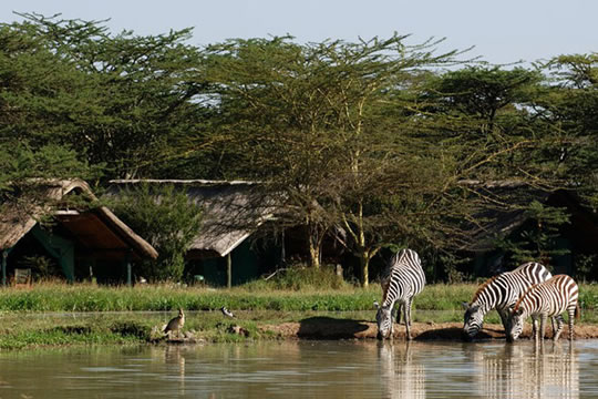 3 Days Sweetwaters/Ol Pejeta Conservancy Safari